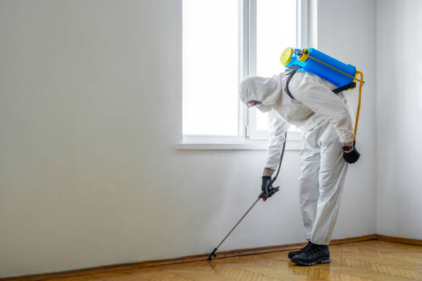 Best Local Pest Control Services  in Fords, NJ